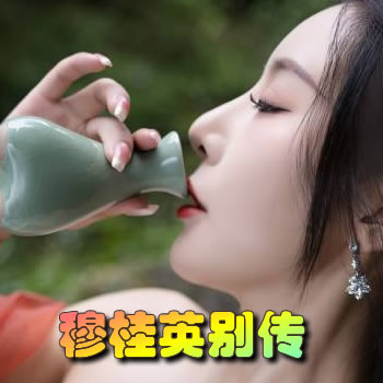 穆桂英别传